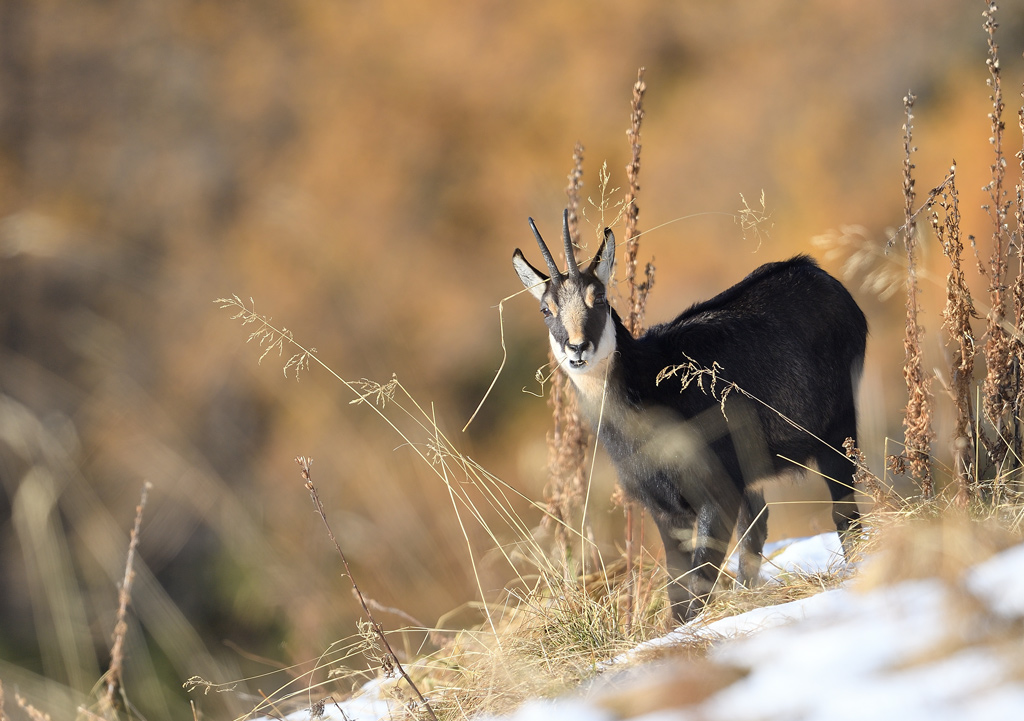 DS5_4761.jpg