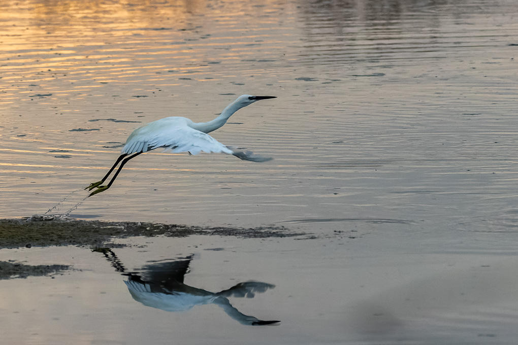 -3S8A6885_DxO1-2.jpg