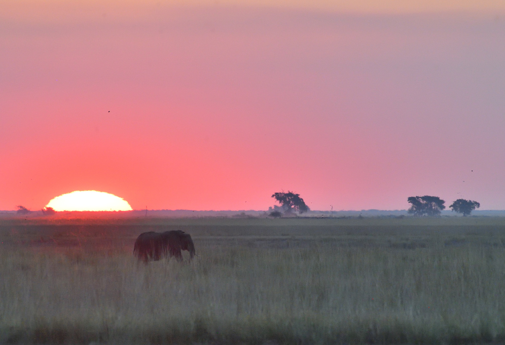 DS5_1603.jpg