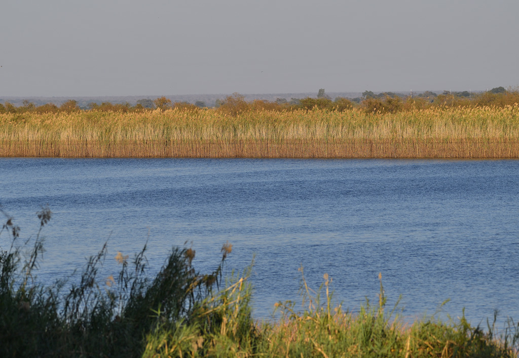 DS5_2229.jpg
