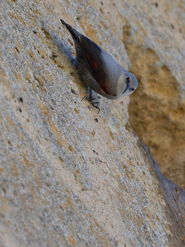 DSC_1658_DxO.jpg