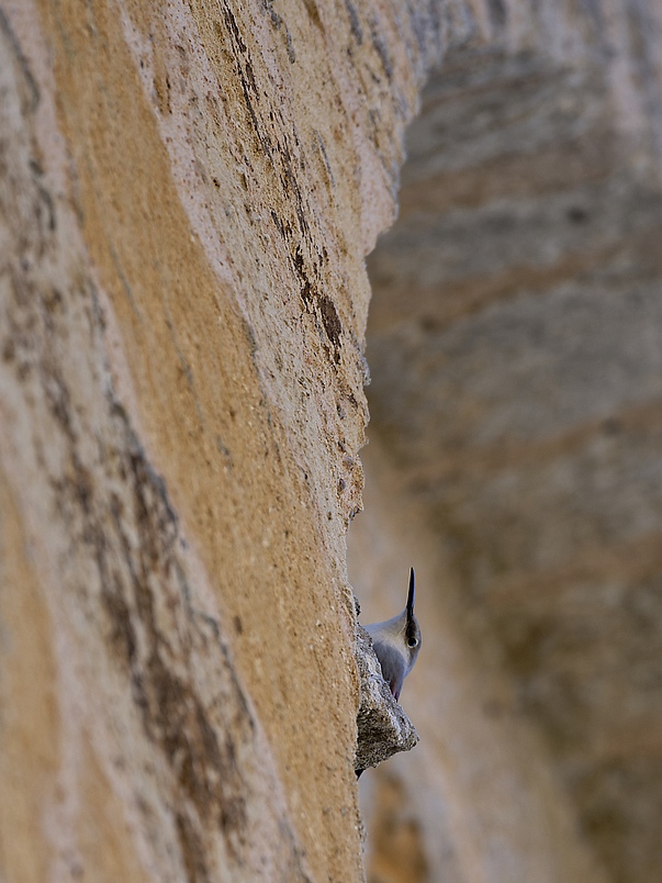 DSC_1668_DxO.jpg