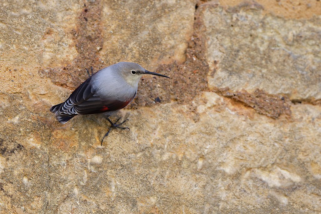 DSC_1553_DxO.jpg