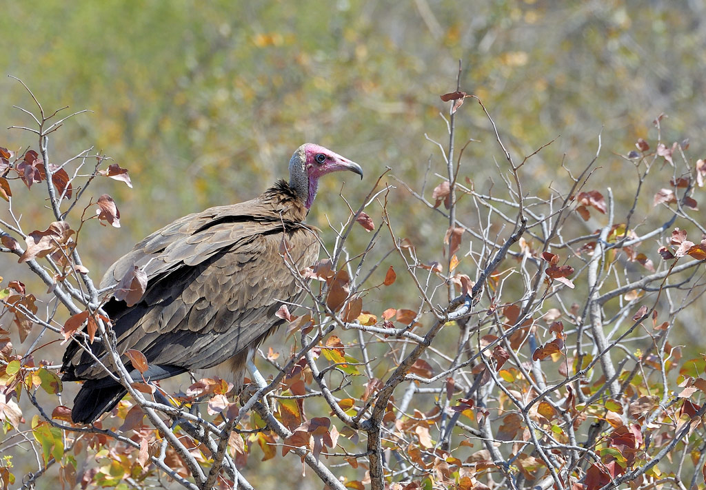 DS5_2461.jpg
