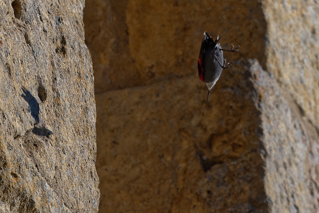 DSC_1852_DxO.jpg