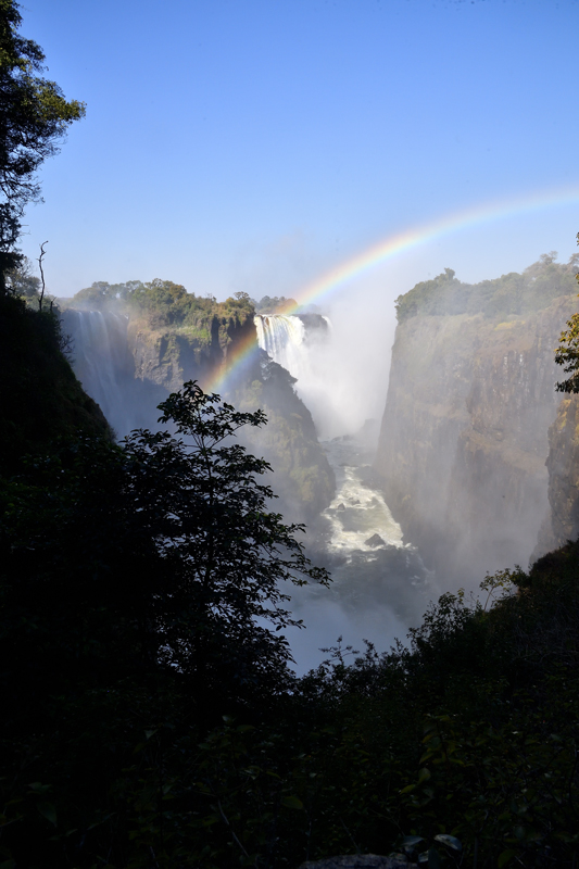 DS5_2250.jpg
