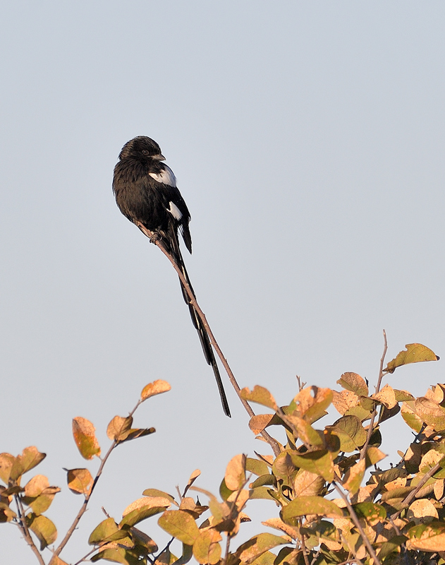DS5_1446.jpg