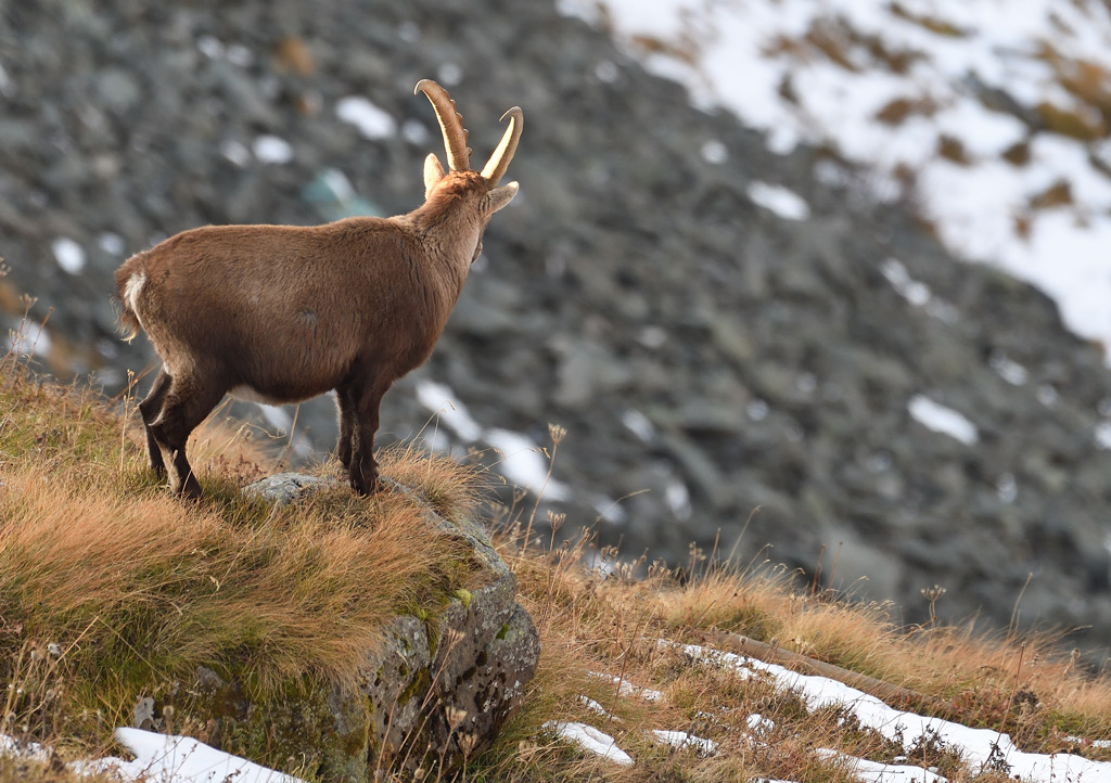 DS5_5128.jpg
