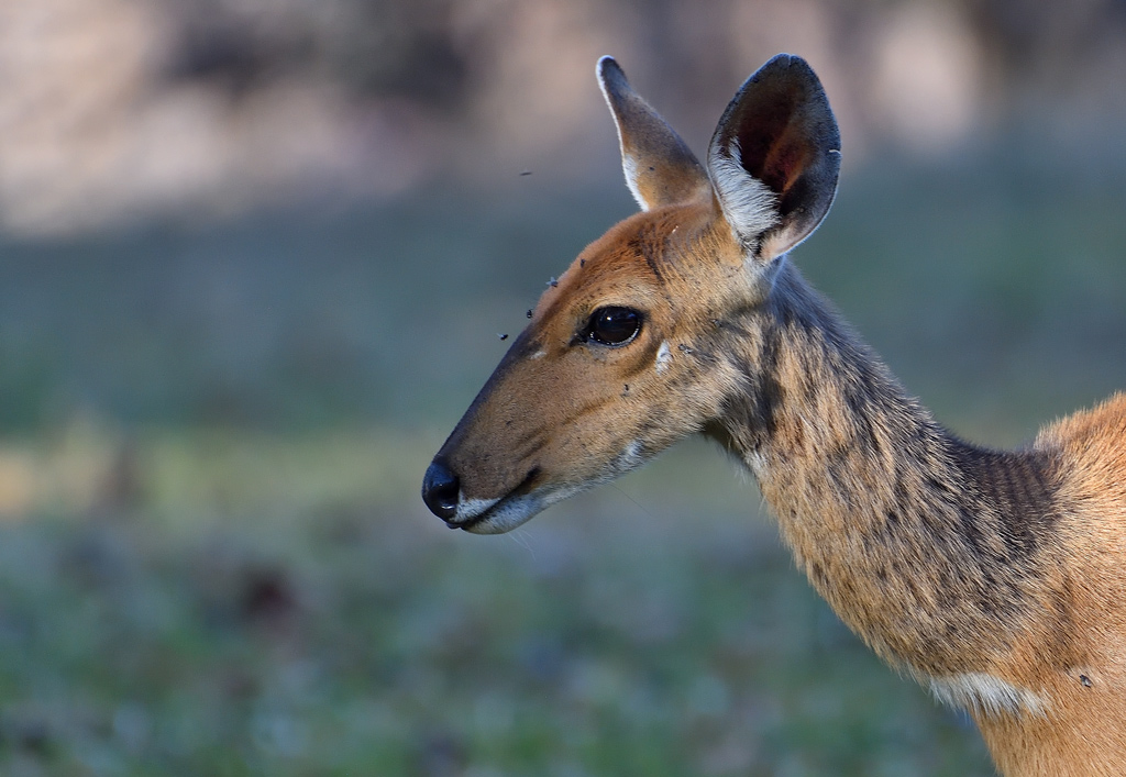 DS5_2717.jpg