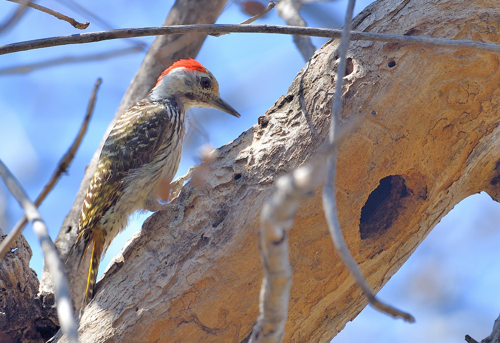 DS5_2410.jpg