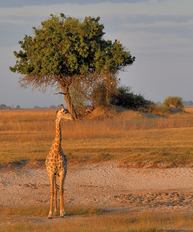 DS5_1574.jpg