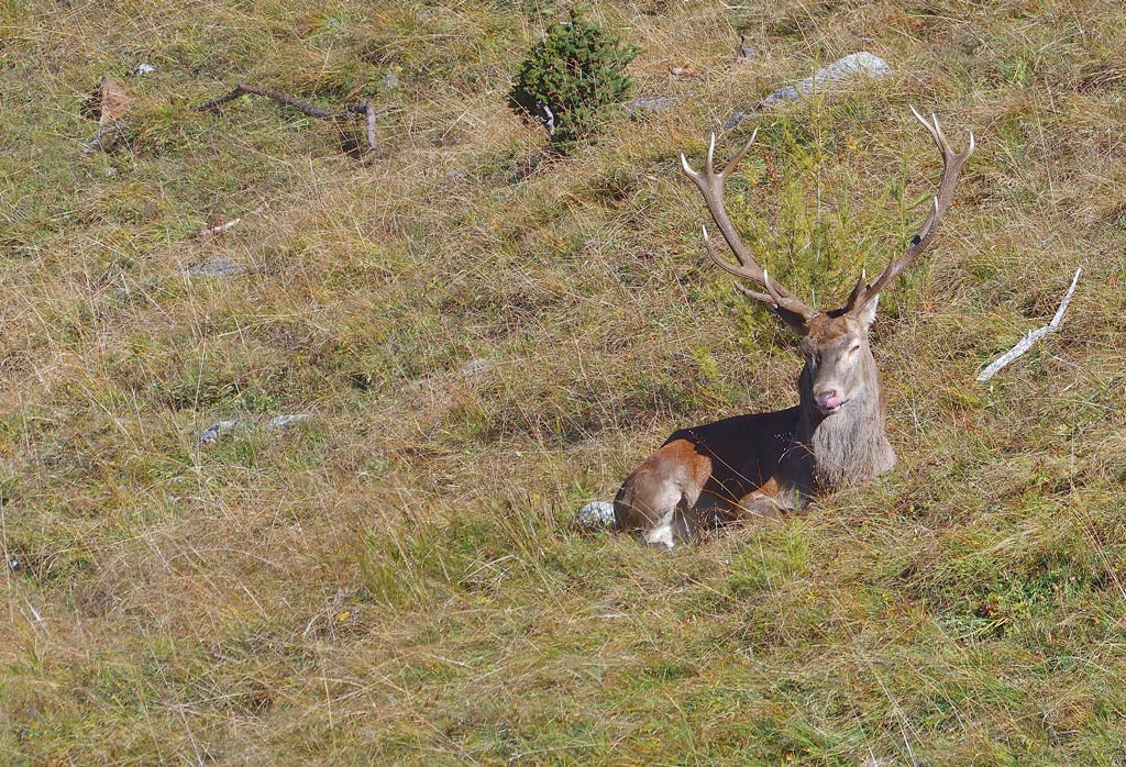 DSC_2145.jpg