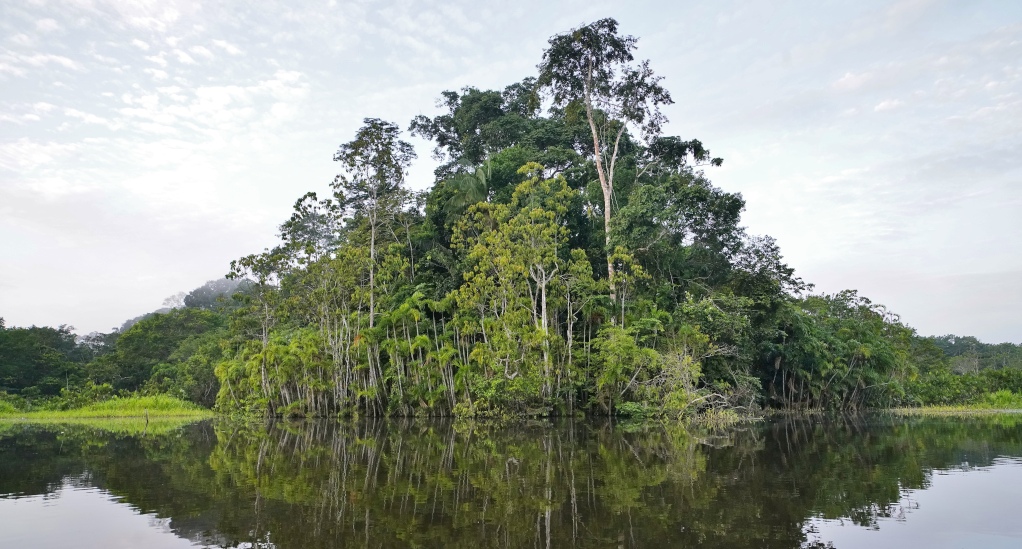 133-Rio napo.JPG