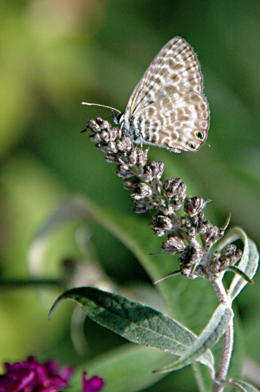 photo 1.jpg