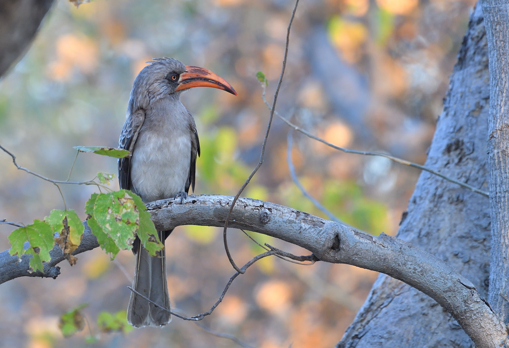 DS5_1423.jpg