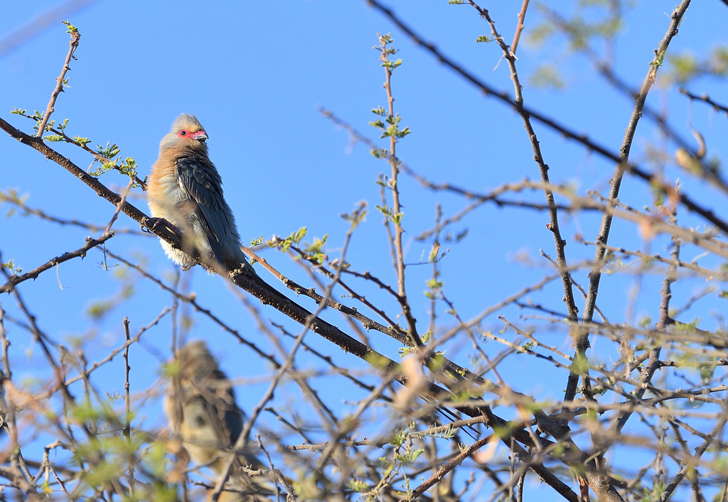 DS5_2236.jpg
