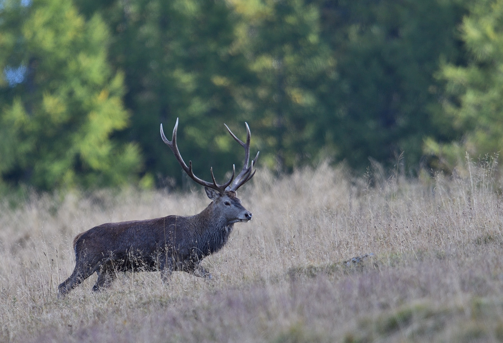DS5_4319.jpg