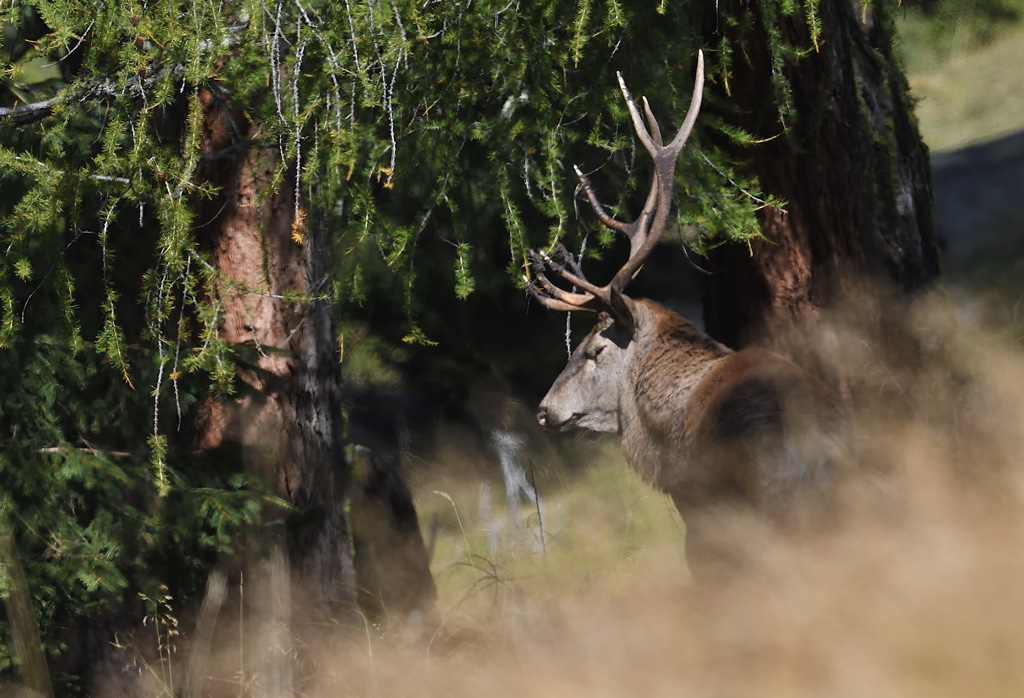 DS5_4391.jpg