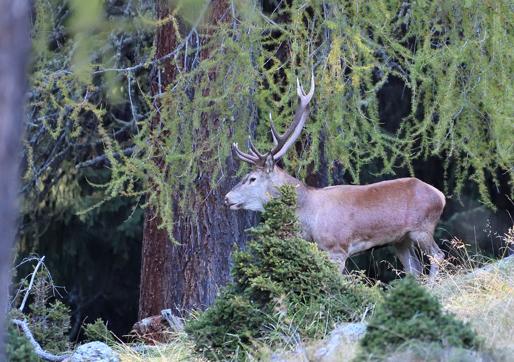 DS5_4474.jpg