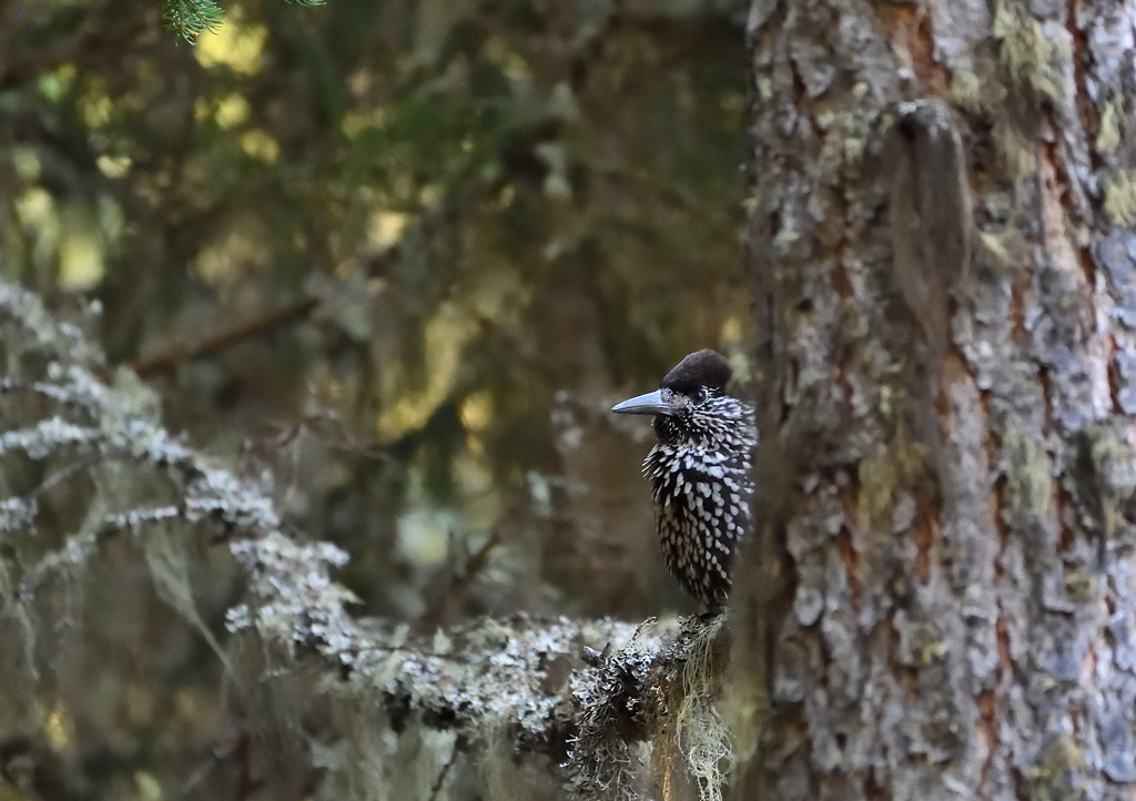 DS5_4489.jpg