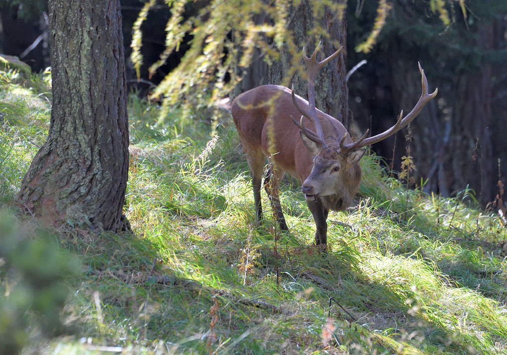 DS5_4494.jpg
