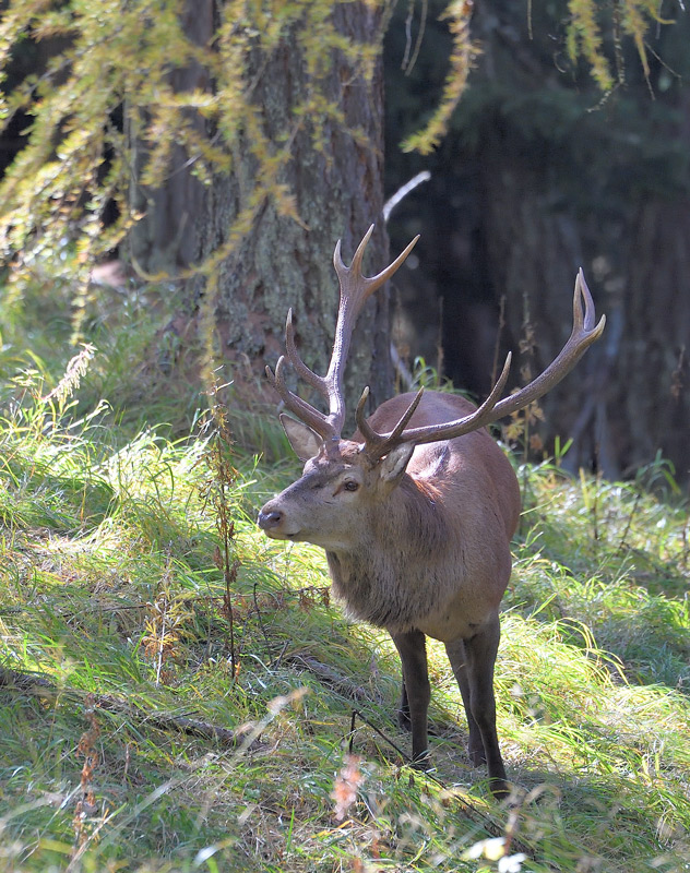 DS5_4496.jpg