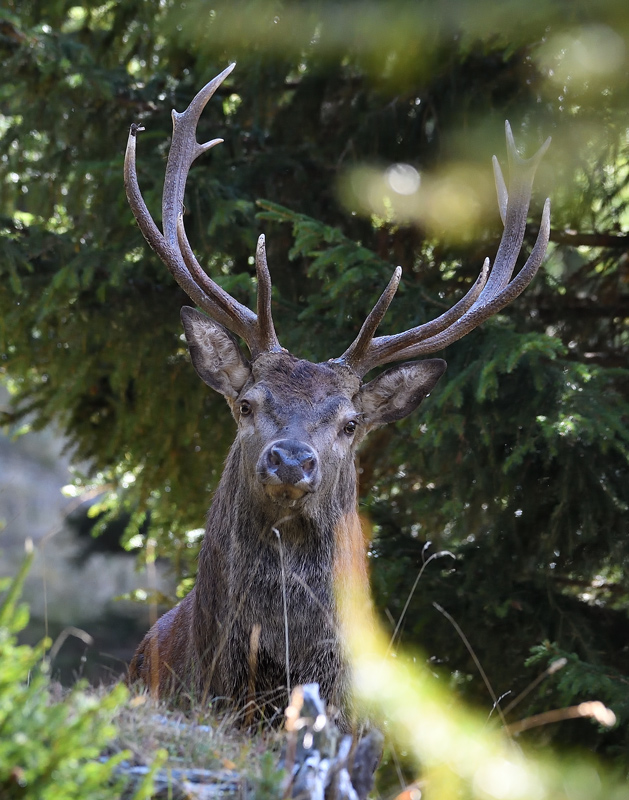 DS5_4509.jpg