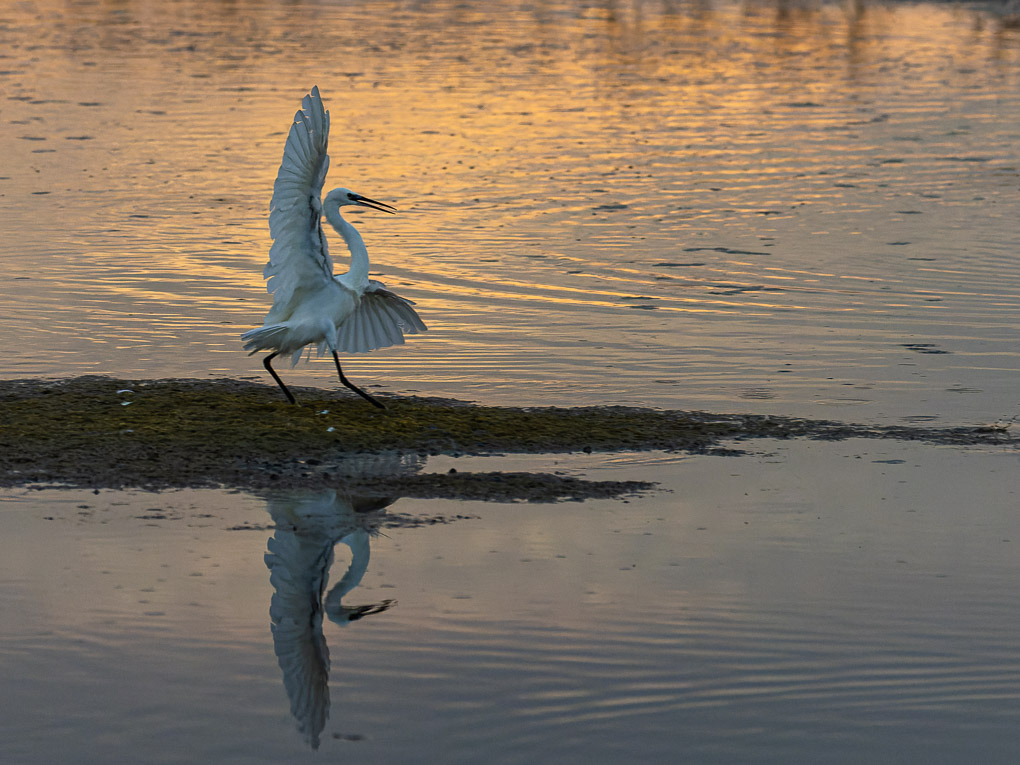 -3S8A6880_DxO1.jpg
