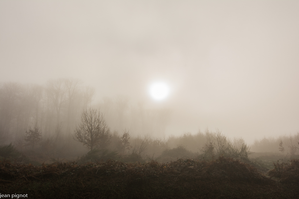 09022022-DSC_0365.JPG