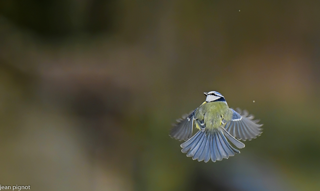 XX  DSC 3787_1_04.jpg