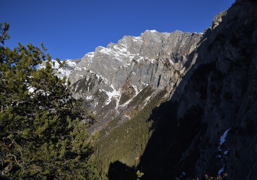 DS5_6450.jpg