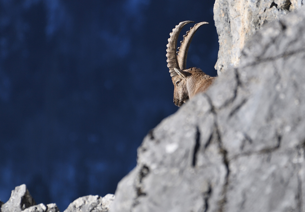 DS5_6460.jpg