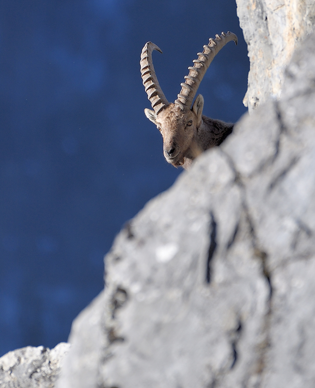 DS5_6463.jpg