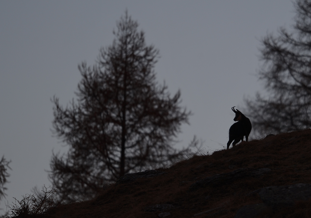 DS5_5773.jpg