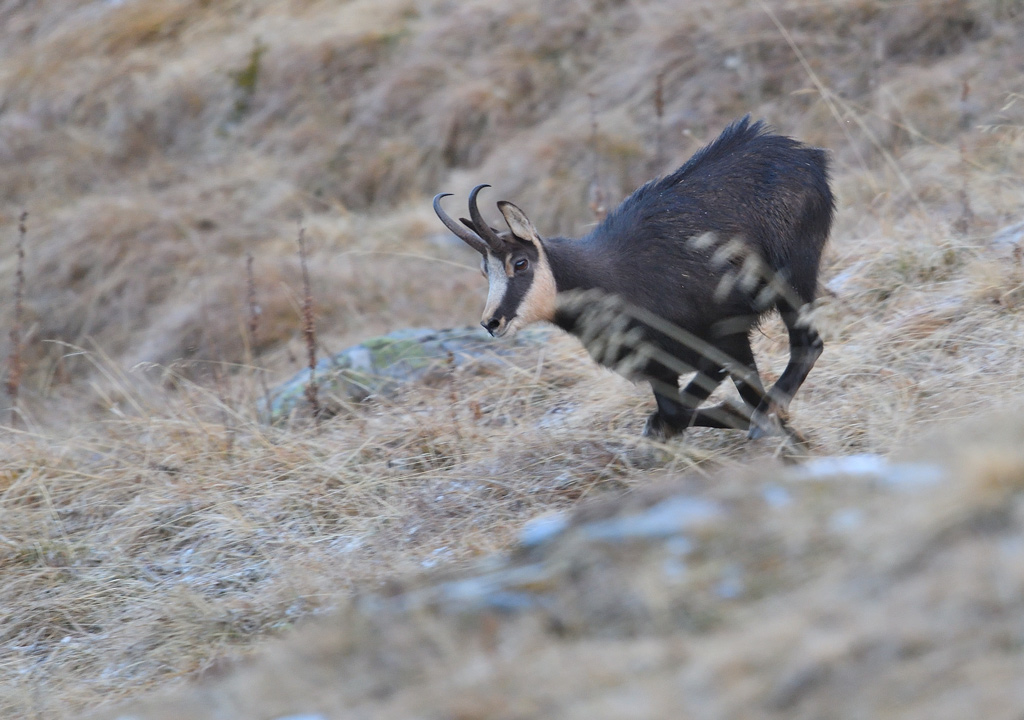 DS5_5794.jpg