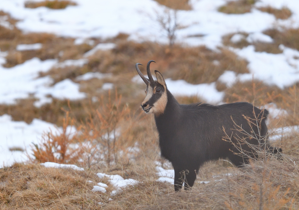 DS5_5797.jpg
