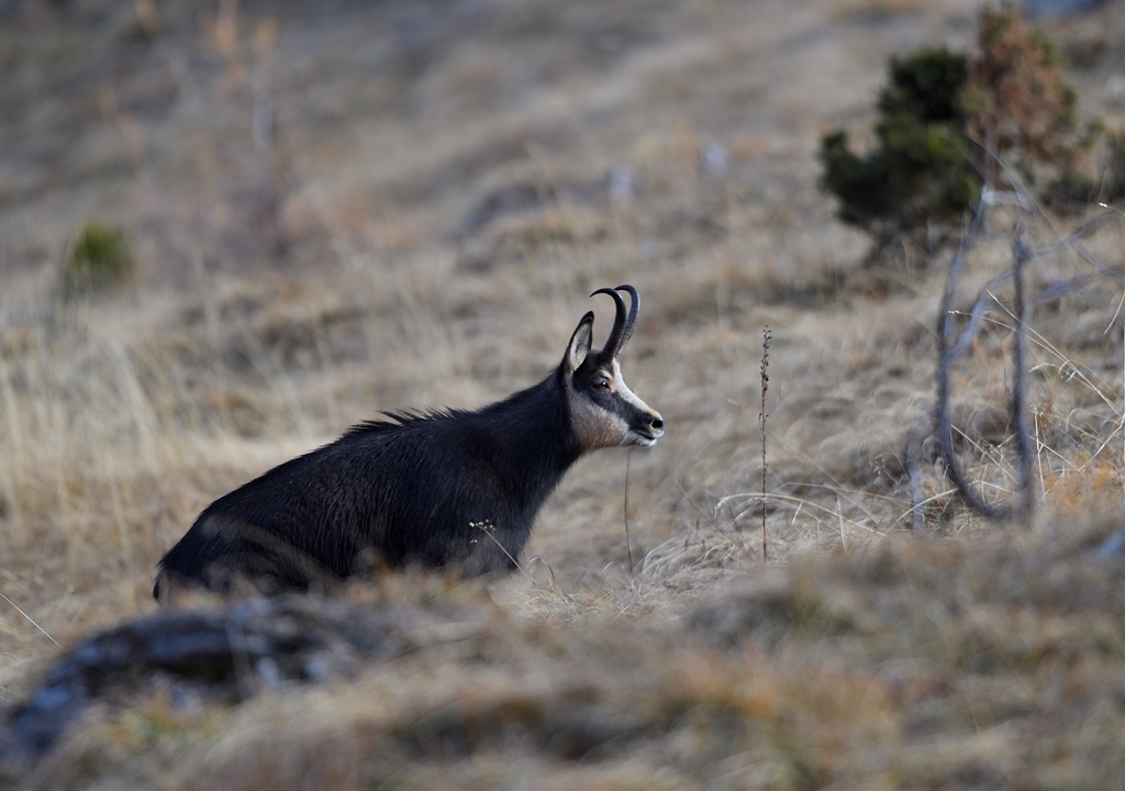 DS5_5805.jpg