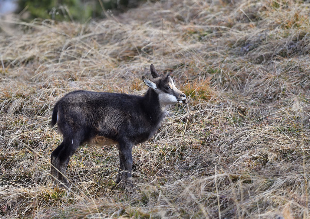 DS5_5808.jpg