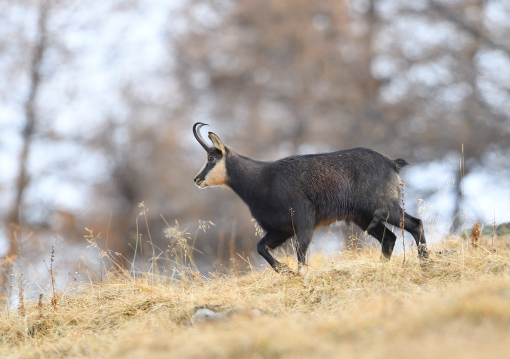 DS5_5827.jpg