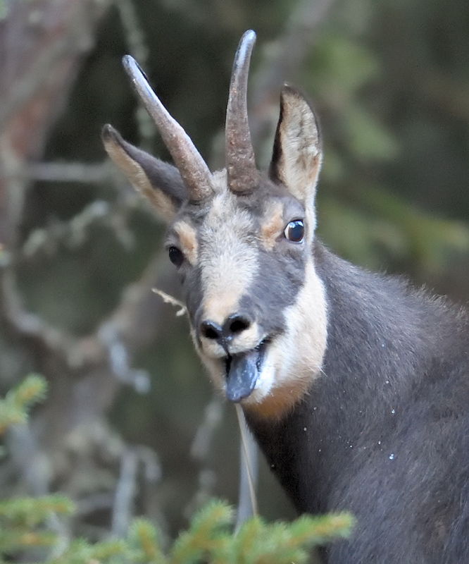 DS5_5858.jpg