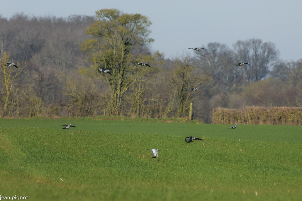 12022022-DSC_4121.JPG