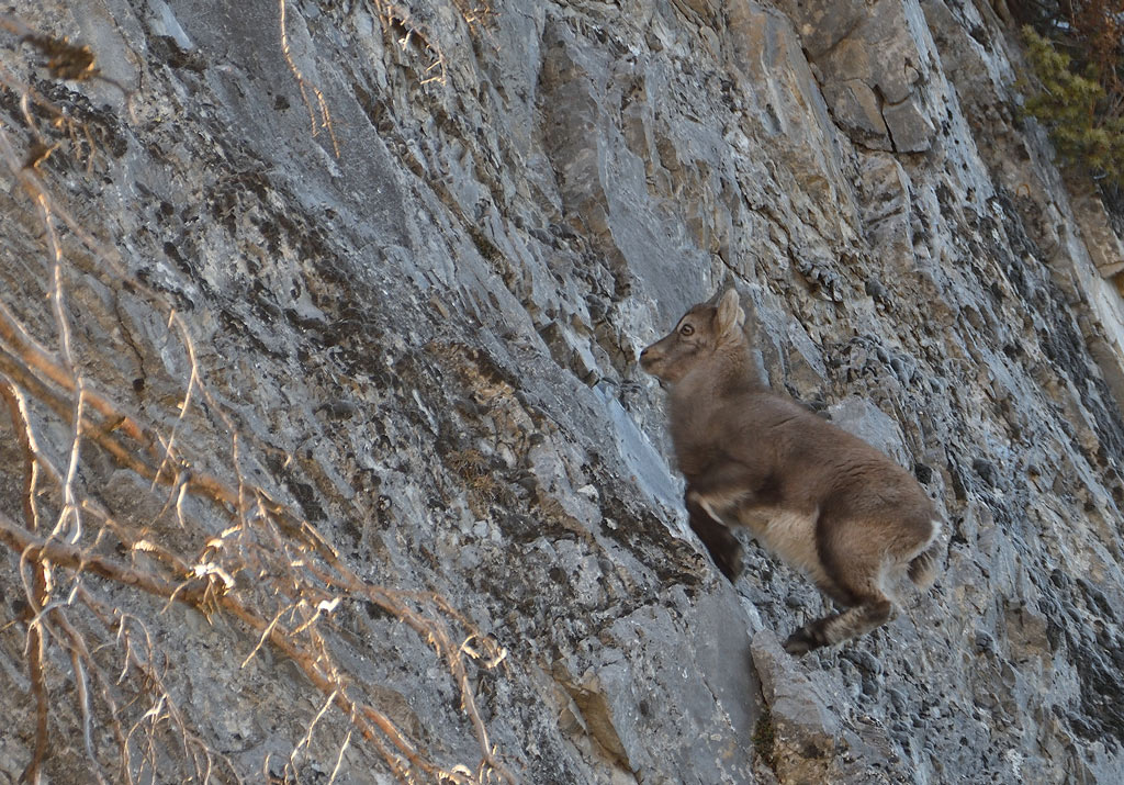 DSC_2475.jpg
