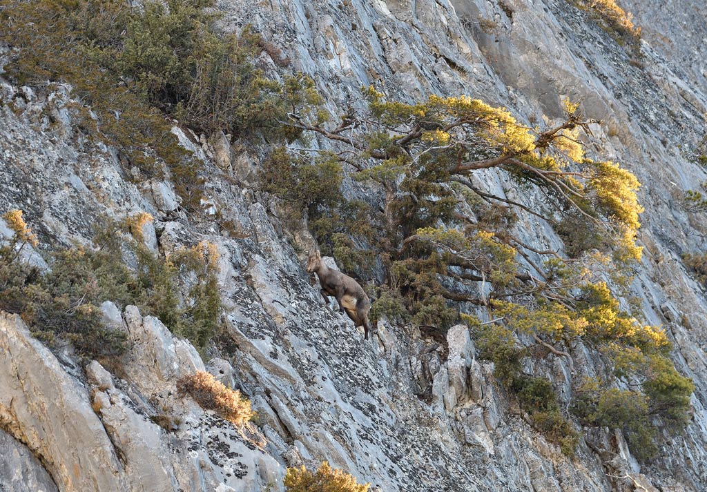 DSC_2476.jpg