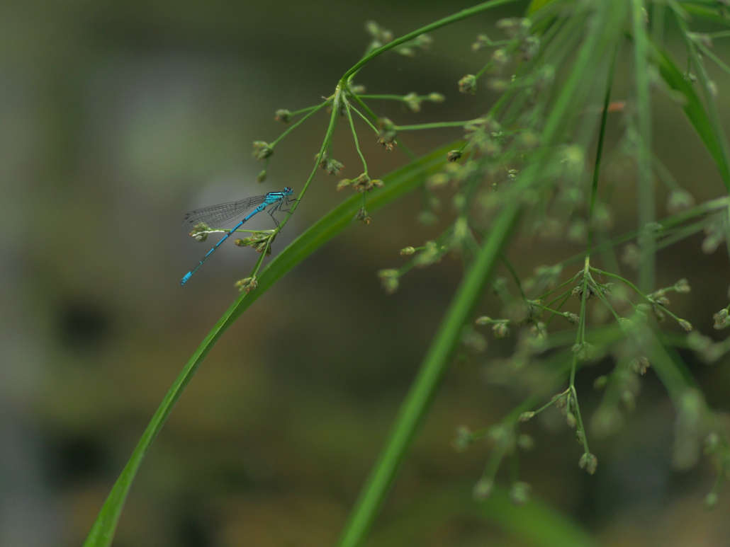 P7030450_.jpg