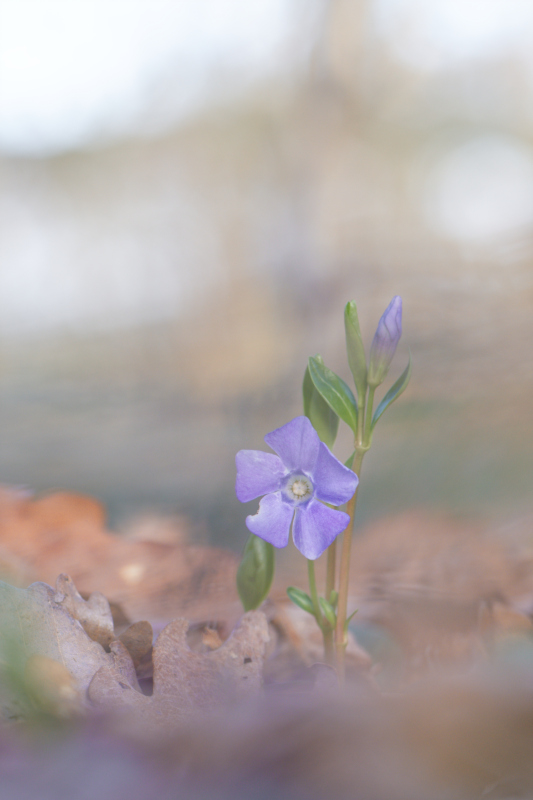 _DSC7604_DxO_DxO-1.jpg