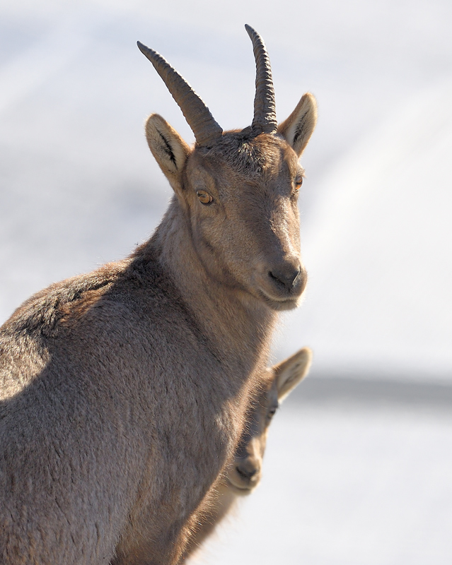 DS5_6549.jpg