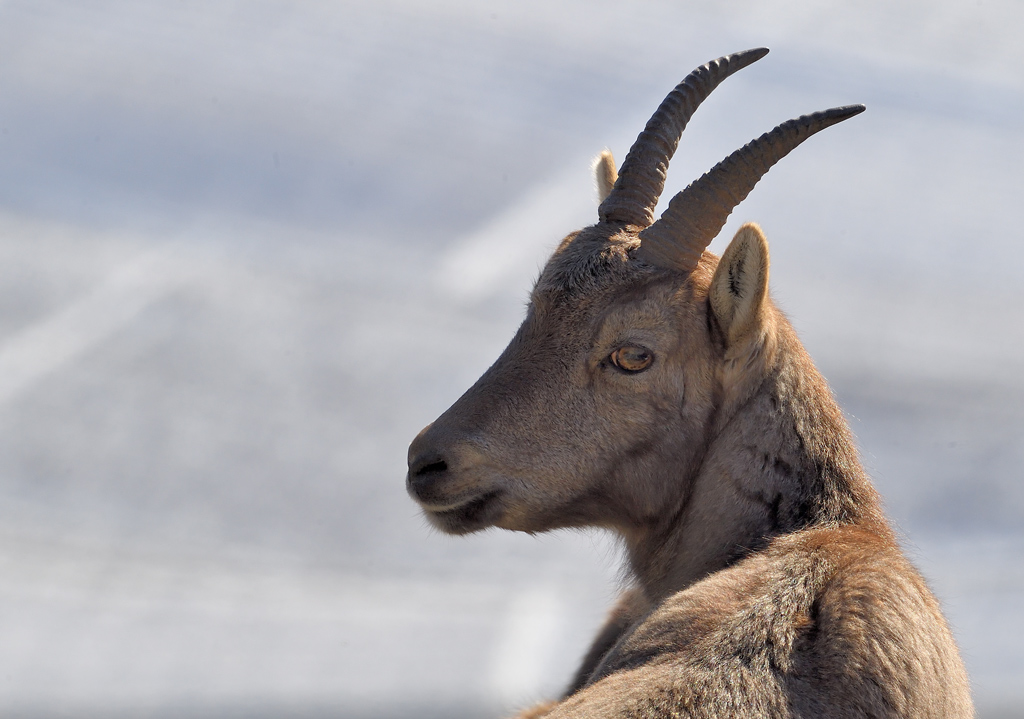 DS5_6558.jpg