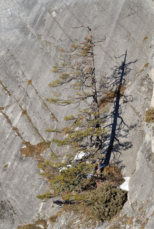 DS5_6582.jpg