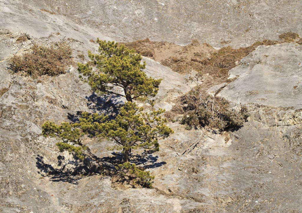 DS5_6631.jpg