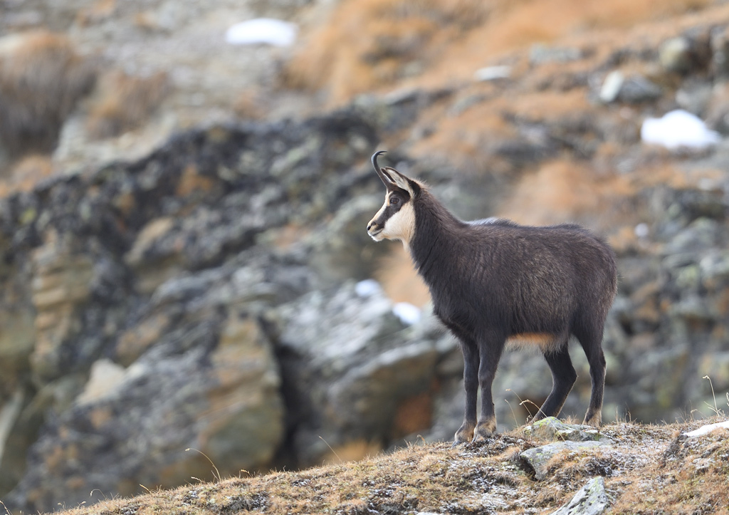 DS5_5927.jpg